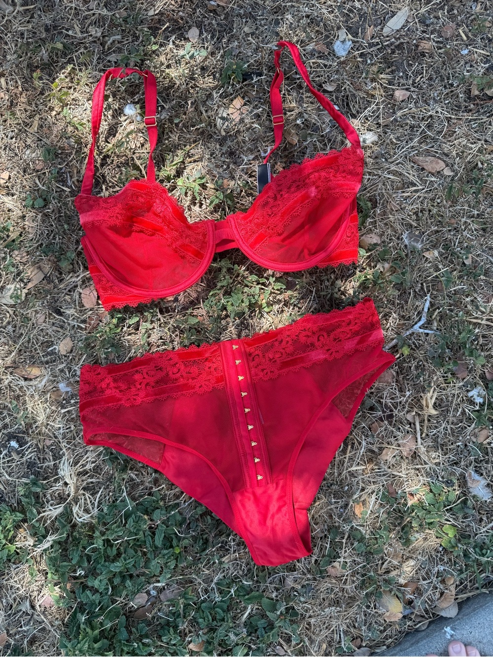 NWOT Victoria’s Secret Embroidered Satin Demi Bra and Cheeky Panty Set